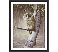 Abillyn Embroidery Cross Stitch Kits Owl Stamped with Printed Pattern Starter Kit (Owl)