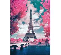 Abillyn Embroidery Cross Stitch Kits Paris City Landscape Eiffel Tower Stamped with Printed Pattern Starter Kit (Eiffel Tower)