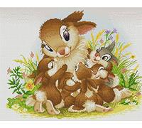 Abillyn Embroidery Cross Stitch Kits Rabbit Family Stamped with Printed Pattern Starter Kit (Rabbit)