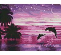 Abillyn Embroidery Cross Stitch Kits Sea Night Landscape, Dolphin Stars Moon Stamped with Printed Pattern Starter Kit (Dolphin)