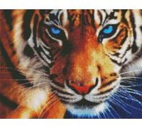 Abillyn Embroidery Cross Stitch Kits Tiger Stamped with Printed Pattern Starter Kit (Tiger)