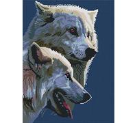 Abillyn Embroidery Cross Stitch Kits Two Wolf Stamped with Printed Pattern Starter Kit (Two Wolf)
