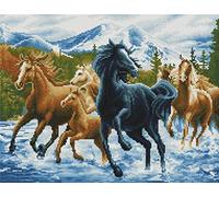 Abillyn Horses Galloping on a River Stamped Cross Stitch Kit with Printed Design (Horse)