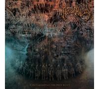 Abnormality - Contaminating The Hive Mind [Import Allemand]