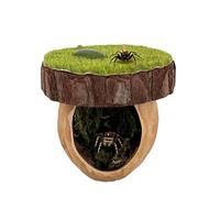 Aboiled Jumping Spider Hideout Jumping Spider Hide A Real Shelter Made of Walnut Skin Handmade Spider Enclosure Accessories for Jumping Spiders and Other Small Insects Jumping Spider Enclosure
