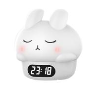 Aboiled Light Alarm Clock, Adults and Children'S Bedrooms, Features Snooze Function and USB Charger Port, Dual Alarms