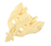 ABOOFAN 1Pc Life Human Sacrum Anatomy Model for Anatomical Model for Hospital Use for Doctors Nurses and Students Practice and Display