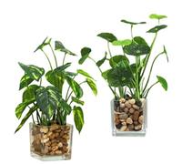 ABOOFAN 2pcs Realistic Artificial Mini Potted Plant with Vivid Leaf Design, Plastic and Glass Materials for Dining Table or Coffee Table Home Decoration, Long-term Storage Fake Bonsai