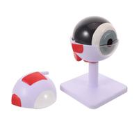 ABOOFAN 3x Enlarged Human Eye Anatomy Model with Clearly Labeled Parts, Pvc Reusable Dissection Model for Science Classroom and Clinical Settings Supporting Visual Learning