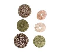 ABOOFAN 6Pcs Sea Urchin Shell Air Plant Pots 2.36 Inch Mediterranean Style Desktop Planters for Home Garden Decor and Craft Accessories