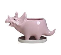 ABOOFAN Dinosaur Succulent Flower Pot Ceramics Planter with Geometric Tray Indoor Tabletop Pot for Seedlings Nursery and Home Office Decor