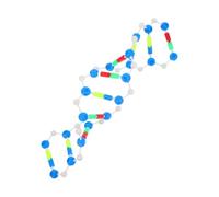 ABOOFAN Double Helix Dna Model Kit Educational Biology Teaching Tool for Students Classroom and Laboratory Use Science Class Dna Study Kit for Genetics Molecular Biology