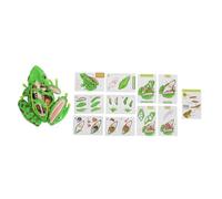 ABOOFAN Educational Frog Anatomy Model Realistic Safe Teaching Tool for Enhances Cognitive Observational Skills Interactive Dissection for Science Projects