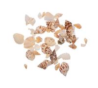 ABOOFAN Natural White Sea Snail Shell Aquarium Ornament for Fish Tank Decorations, Handmade Shell Craft with Vitality Enhancement and Safe Material, for Aquariums and Office Desk