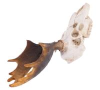 ABOOFAN Pet Cave Reptile Hideout Ornament Terrarium Decoration Feeding Box Landscaping Resin Deer Skullshaped Unique Artistic Atmosphere Fresh Visual Effect for Reptile Habitat