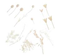 ABOOFAN Pressed Dried Flowers Leaves Flowers for Crafts Natural Dried Petals Materials
