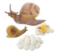 ABOOFAN Snail Growth Cycle for Educational Biological Learning Models Lightweight Realistic Snail Life Phase Cognitive Set for Science Exploration