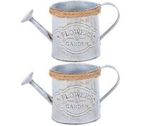 ABOOFAN Vintage Iron Flower Bucket 2Pcs Rustic Metal Flower Pot for Home Garden Decoration and Desktop Display Stand with Artistic Retro Design