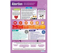 Abortion | Religious Education Posters | Laminated Gloss Paper measuring 850mm x 594mm (A1) | Religious Studies Charts for the Classroom | Education Charts by Daydream Education