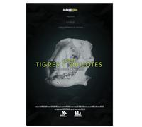 About Tigers And Quixotes