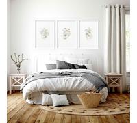 About Wall Art Botanicals Wal Art | Set of 3 wall art prints - A4 8.27 x 11.69 in / 21 x 29.7 cm - Black Frame