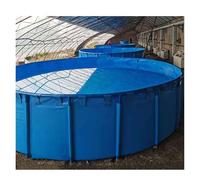 Above Ground Round Pool, Sturdy Steel Frame with Secure PVC Canvas for Backyard Fun, Ideal for Adults and Kids