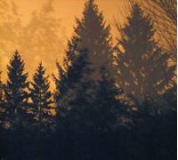 Above the Earth Below the Sky