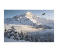 Above The Snowy Forest Rug Vintage Entryway Mat Washable Soft Thick Area Rugs for Living Room Non-Slip Under Table Carpet 16x24 Inch for Dining Room Bathroom Kitchen