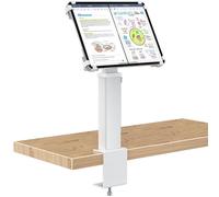 AboveTEK iPad Clamp Mount Desk, Adjustable Tablet Holder with 360° Rotation & 180° Tilt, Fits 9.7"-13" Tablets, Anti-Theft iPad Desk Stand, Heavy-Duty Aluminum Tablet Stand, Perfect for Work-Sliver