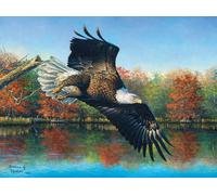 Abraham Hunter - Wetlands Eagle