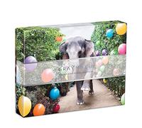 Abrams & Chronicle 9780735362185 Toy, Animal