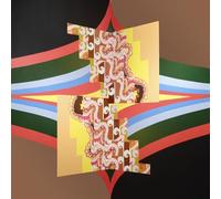 Abrams, Joshua - Music For Pulse Meridian Foliation [VINYL]