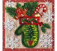 Abris Art AM-200 Pearl Stitch Embroidery Set, Cotton, Multi-Colour, 15 x 16 cm