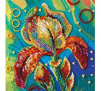 Abris Art AM-203 Pearl Stitch Embroidery Set, Cotton, Multi-Colour, 15 x 16 cm