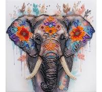 ABRIS ART Secrets of The East