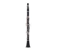 ABS 17-Key Clarinet Bb Flat with Carry Case Gloves Cleaning Cloth Mini Screwdriver Reed Case 10pcs Reeds Woodwind Instrument
