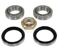 ABS 200658 Rear Left Wheel Bearing Kit Fits Ford Sierra 5011391