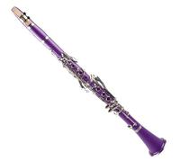 ABS Bb Tone Clarinet Cupronickel Plated Nickel 17 Key Clarinet Kit With Clarinet Reeds And Case Clarinet Kit (Color : Purple)