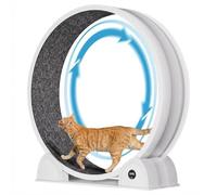 ABS Digital Display High-End Cat Exercise Wheel for Indoor Cats, Silent Plastic Cat Running Treadmill, Large Size Cat Fitness Roller, Indoor Cat Trolley on Wheels, Quiet Cat Exercise Wheel