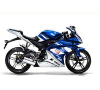 ABS Plastic Motorcycle Injection Pre-Drilled Hole Cowl Fairings Bodywork Kit Complete Set for Yamaha R125 (Blue and white, 2008-2013)