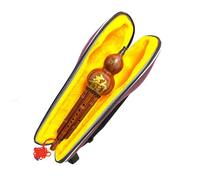 ABS Plastic Steel Hulusi C Key Beginner Instrument