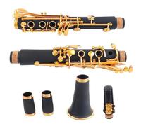 ABS Resin Tube Body Copper-Nickel Lacquer Gold 17 Keys Bb Tone Clarinet With Clarinet Case Clarinet Kit