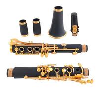 ABS Resin Tube Body Lacquer Gold 17 Keys Bb Tone Clarinet With Canvas Bag And Accessories Clarinet Kit