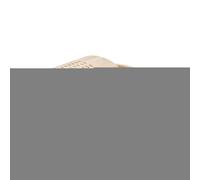 Absinthe Wood Box - Solid Wood Môxa Box For Wellness | Moxibustion Multi-Hole Relaxation | Les At Home, Men Women