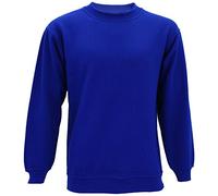Absolute Apparel Mens AA24 Regular Big Size Gym Sterling Sweatshirt Crew Neck Royal Blue