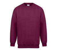 Absolute Apparel Mens Magnum Sweat / N/A N/A AB111