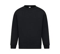 Absolute Apparel Mens Sterling Sweat (6XL) (Black)