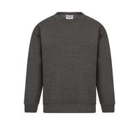 Absolute Apparel Mens Sterling Sweat