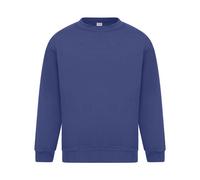 Absolute Apparel Mens Sterling Sweat
