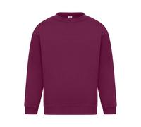 Absolute Apparel Mens Sterling Sweat